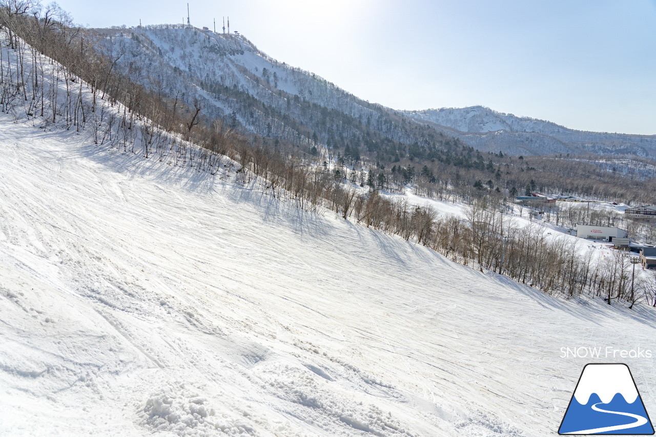 サッポロテイネ｜ついに…本格的な春シーズンが到来！ザクザク雪で凸凹な急斜面が楽しすぎる♪